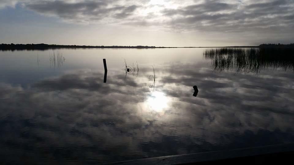 Ps Federal Retreat Paddle Steamer Goolwa Esterno foto