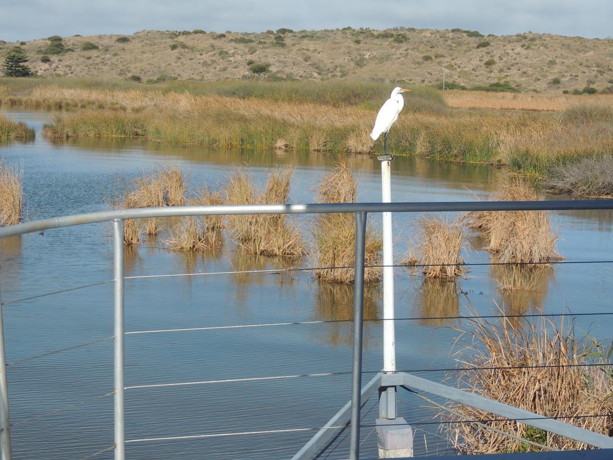 Ps Federal Retreat Paddle Steamer Goolwa Esterno foto